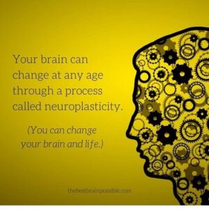 Neuroplasticity and What You Should Know