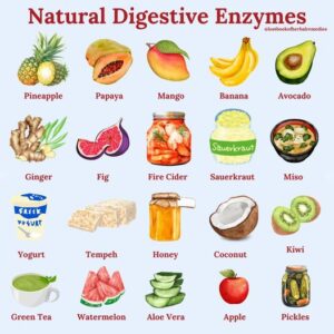 Unlocking the Power of Natural Digestive Enzymes