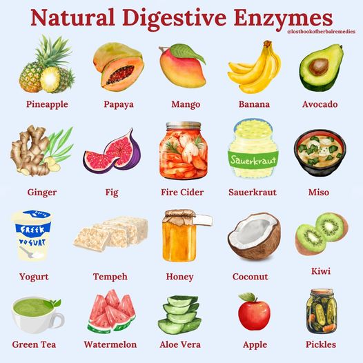 Unlocking the Power of Natural Digestive Enzymes