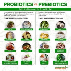 What Are Probiotics?