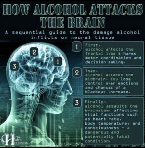 How Alcohol Attacks the Brain: Understanding the Sequential Damage