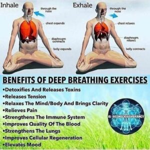 The Power of Deep Breathing: Unlock Your Body’s Natural Healing Potential